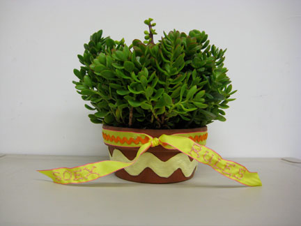 Housewarming. The ribbons are embroidered with SoEx Rules.