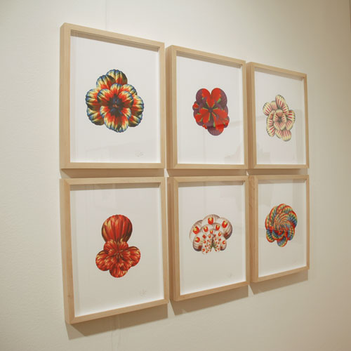 Cassandra C. Jones, Baer/Ridgeway, San Francisco, Pulse