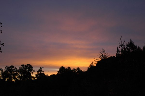 A recent sunrise at Montalvo.