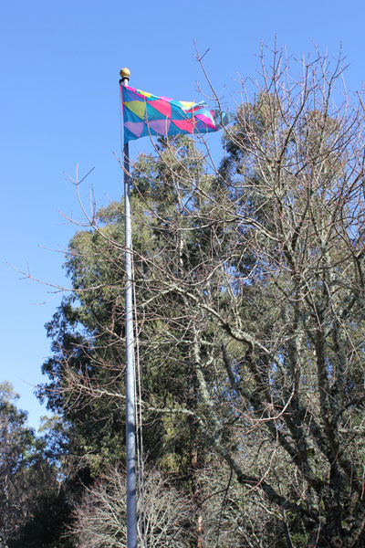 The people's choice: the first official Irrational Exuberance Flag is raised!