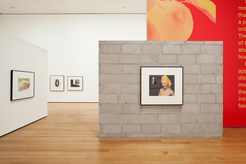 Installation view of Christopher Williams: The Production Line of Happiness, The Museum of Modern Art, 2014. Photo by Jonathan Muzikar. © The Museum of Modern Art, New York // Source: moma.org.